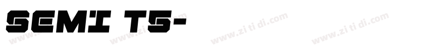 SEMI T5字体转换